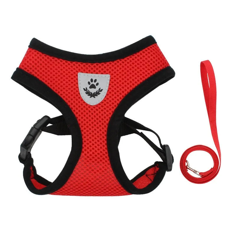 Cat Leash
