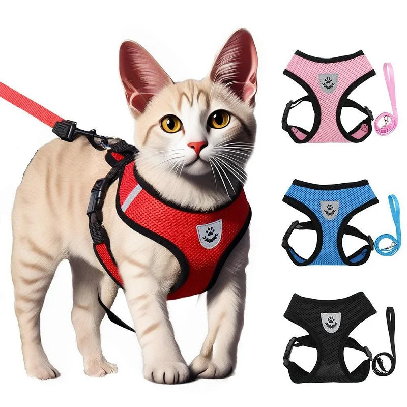 Cat Leash