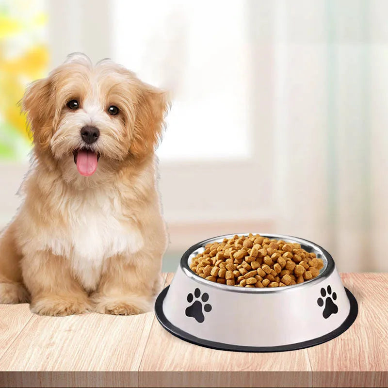 Stainless Steel Pet Bowl