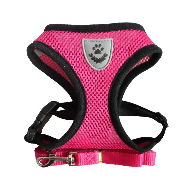 Cat Leash
