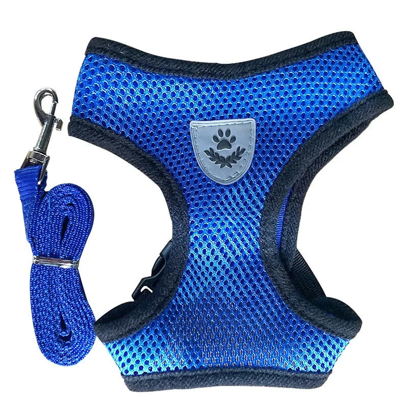 Cat Leash