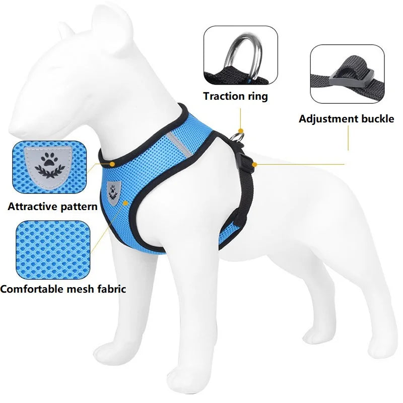 Cat Leash